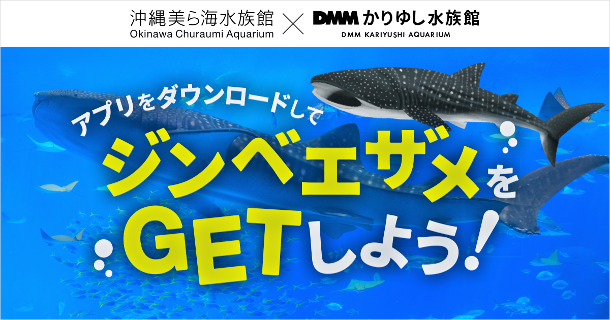 DMMかりゆし水族館】沖縄美ら海水族館との相互誘客キャンペーンを開始