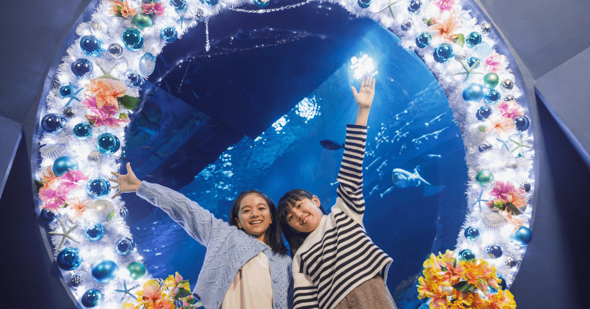 DMMかりゆし水族館｜事業情報｜DMM Group