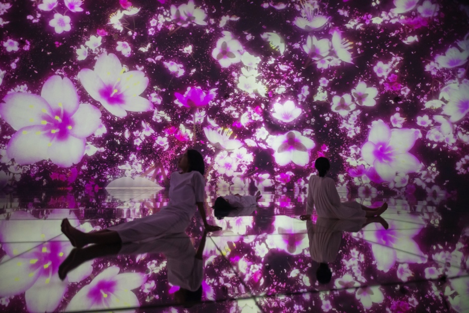 東京 豊洲 チームラボプラネッツ が 3月6日 土 より 巨大なドーム空間いっぱいに桜が咲き渡る世界に プレスリリース Dmm Group